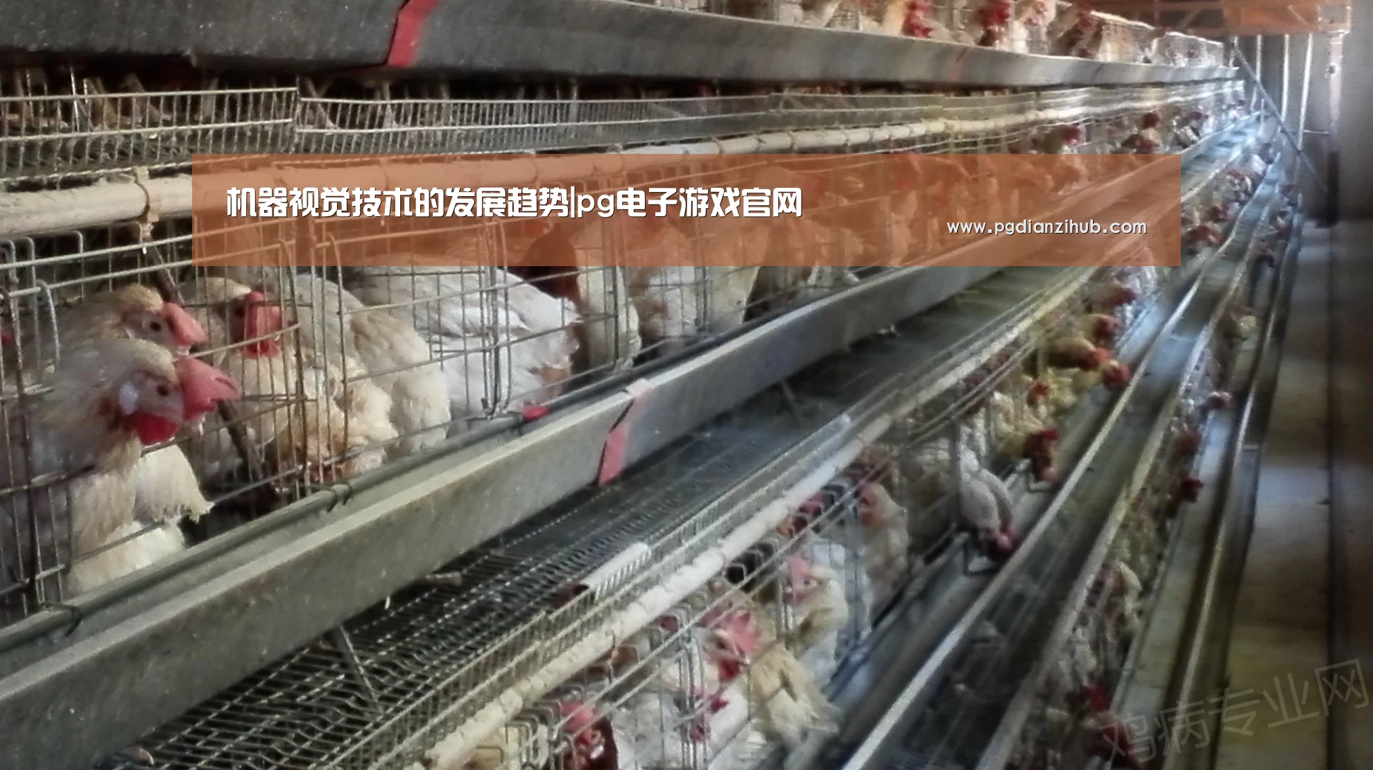机器视觉技术的发展趋势|pg电子游戏官网(图1) 电子麻将胡了