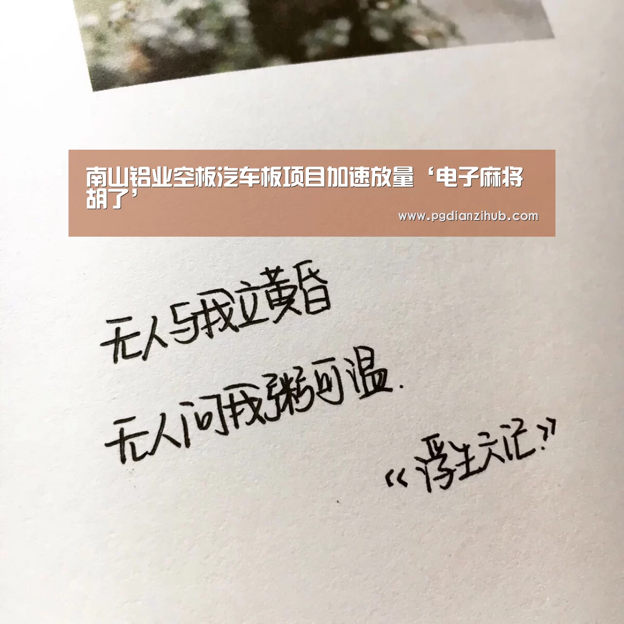 电子麻将胡了