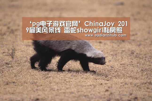 ‘pg电子游戏官网’ChinaJoy 2019最美风景线 雷蛇showgirl私房照出炉(图2) pg电子游戏官网