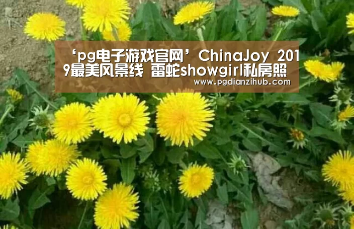 ‘pg电子游戏官网’ChinaJoy 2019最美风景线 雷蛇showgirl私房照出炉(图3) 电子麻将胡了官网