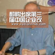 郝鹏出席第三届中国企业改革发展论坛强调  深入贯彻落实党的十九届四中全会精神 为推动经济高质量发展贡献力量“pgdianzi”(图2)