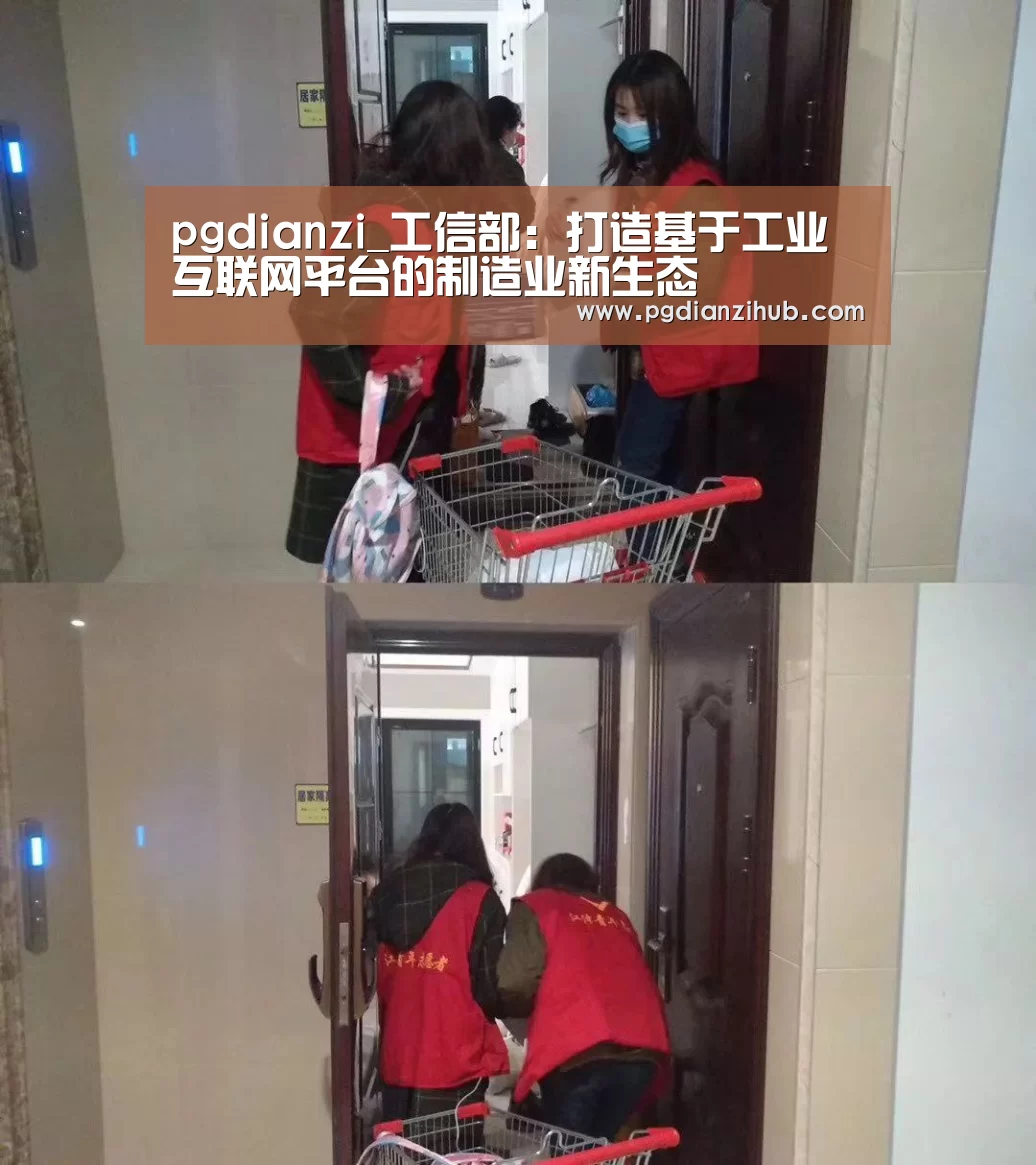 pgdianzi_工信部:打造基于工业互联网平台的制造业新生态(图2) pgdianzi_工信部:打造基于工业互联网平台的制造业新生态(图2)
