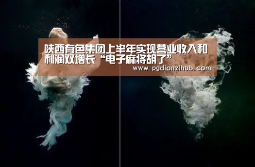 陕西有色集团上半年实现营业收入和利润双增长“电子麻将胡了”(图1) pg电子游戏官网