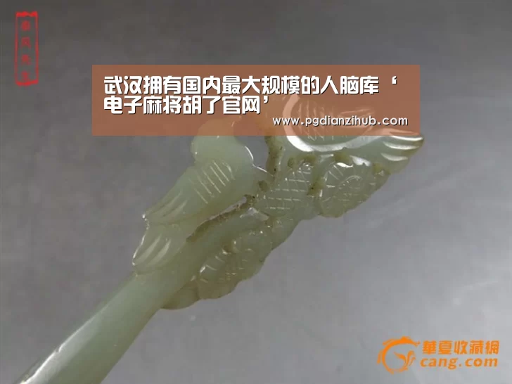 武汉拥有国内最大规模的人脑库‘电子麻将胡了官网’(图3) pg电子游戏官网