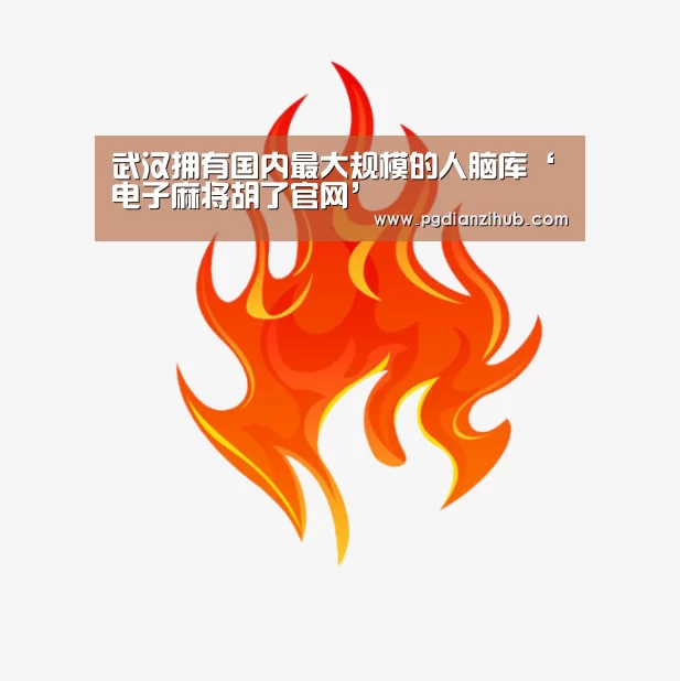 武汉拥有国内最大规模的人脑库‘电子麻将胡了官网’(图4) 电子麻将胡了官网